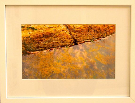 Fragments - 2013<br /><br /><h6>Cornwall: Rock Pool</h6>  Artistâ€™s photographic print on Somerset Velvet 1/5 <br /> 400mm x 300mm H <br /><br /><br /><br /><br /><br /><br /><h7>For sale</h7>